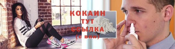 крисы Нея